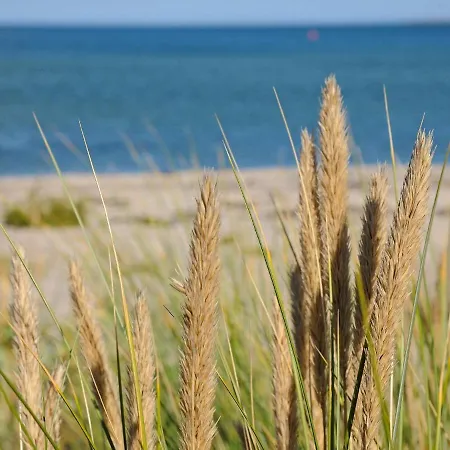 Holiday Ii Vakantiehuis Otterup